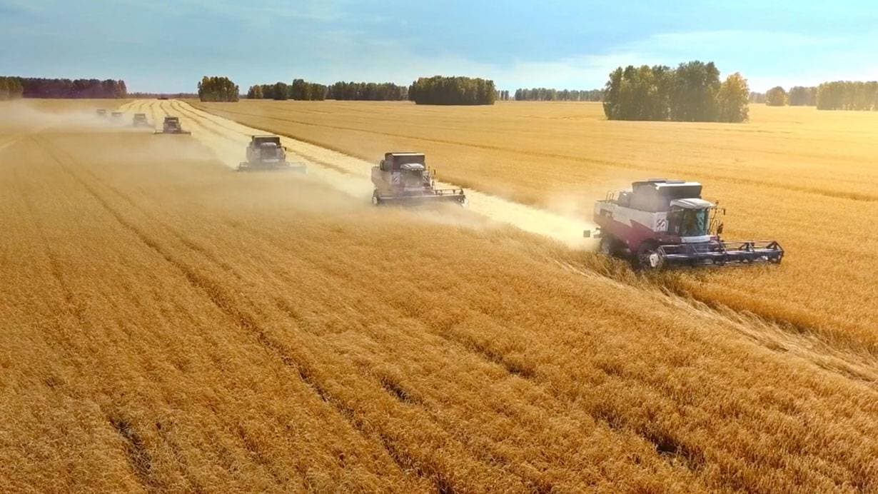 بحجم 180 ألف طن .. "سالك" تورد آخر دفعات 2022 لشراء القمح من الخارج