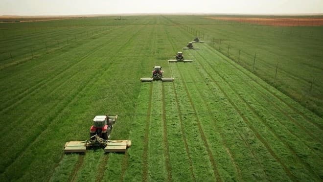 7.8 % نمو الناتج الزراعي في السعودية خلال 2021 .. الأعلى في 5 أعوام