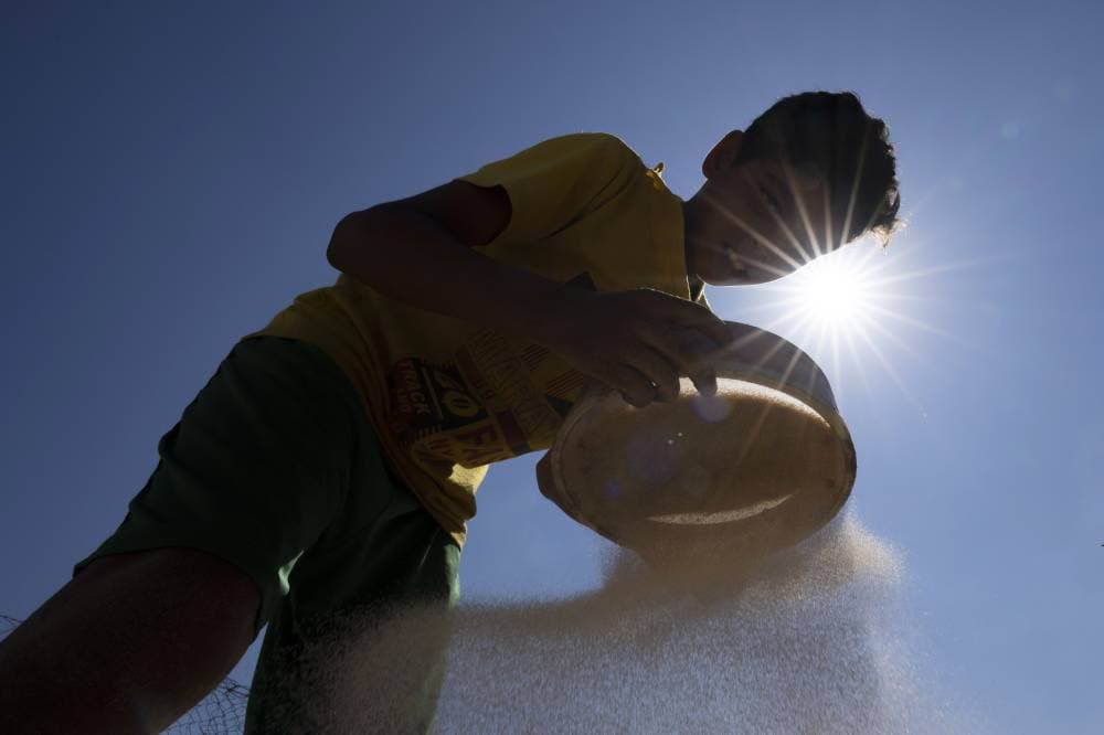 طفل فلسطيني ينخل الرمل في واحدة من أقدم ورش صناعة الفخار في بيت لاهيا، شمال قطاع غزة. » أ.ب «