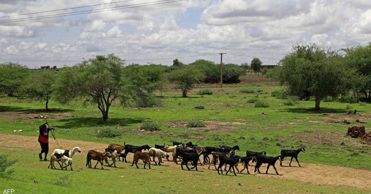 مساهمو "أير فرانس-كيه.إل.إم" يدرسون خطة لتعزيز مالية الشركة قبل مايو المقبل 