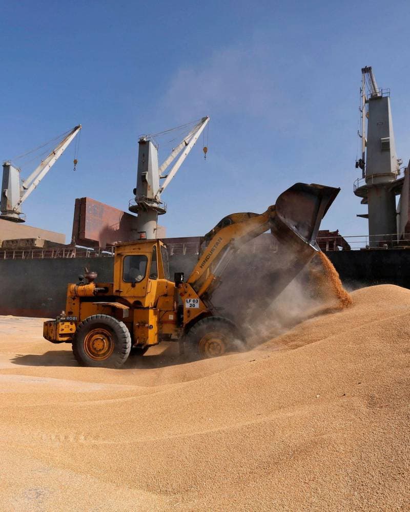 أسعار القمح قفزت إلى 440 يورو للطن في السوق الأوروبية منتصف مايو.