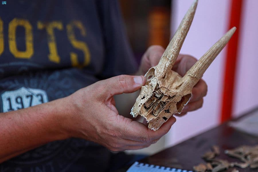 اكتشافات أثرية جديدة في جزر فرسان تعود للقرنين الثاني والثالث الميلاديين