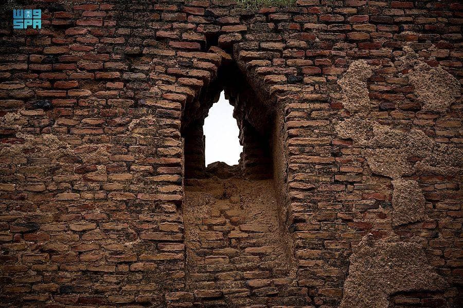 الروبوت يسد فجوة العمالة في مزارع بريطانيا