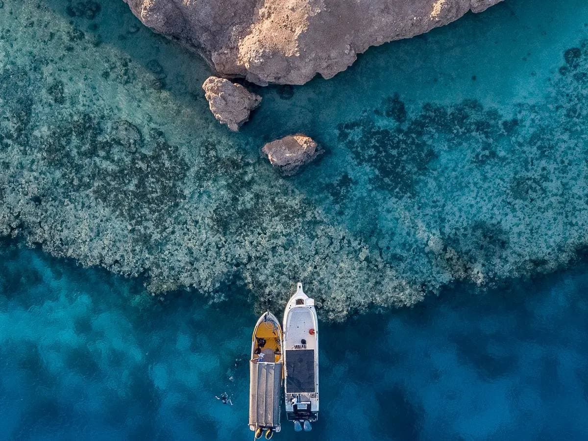 وزارة المالية المصرية تشتري حصة 26% في شركة مصر لإنتاج الأسمدة 