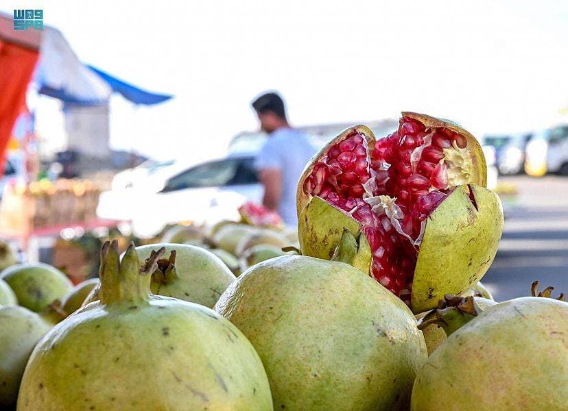 رمان الباحة .. فاكهة تتوارث الأجيال في زراعتها