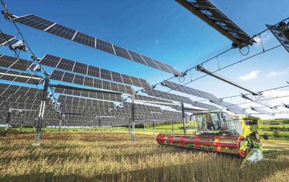 أدب الأبواب .. خشب يستعيد ذاكرة الغياب