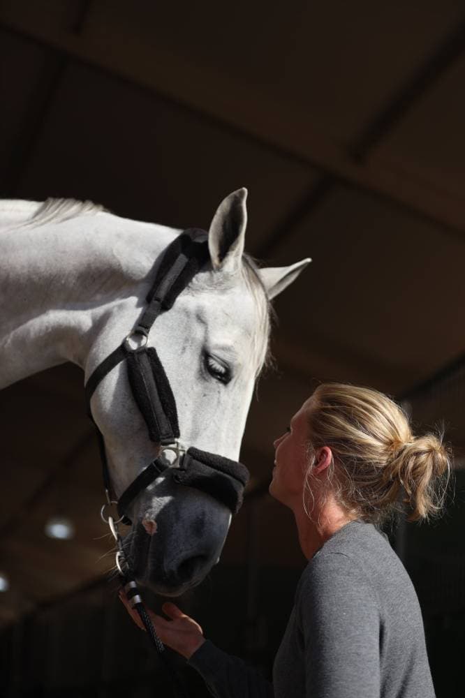 الدرعية تستعد لاحتضان بطولة لونجين في الجولة الـ 15.