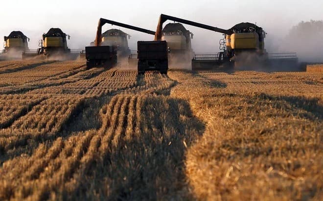 السعودية : طرح مناقصة لاستيراد 535 ألف طن قمح للحفاظ على المخزونات