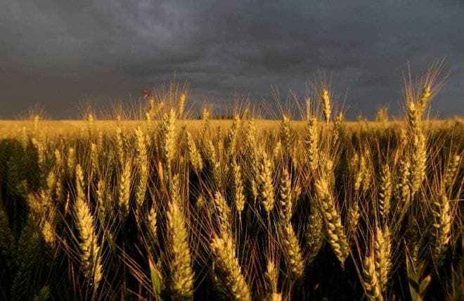 إدارة بايدن تعلق خطة فرض بيع "تيك توك" 