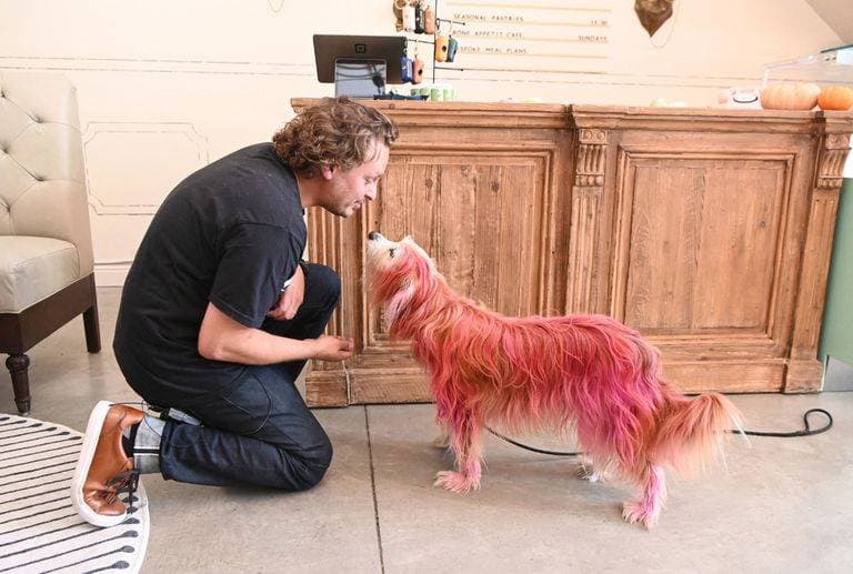 بسبب تلاعب في التداولات .. تغريم وإلزام 5 متداولين بدفع 5 ملايين ريال للسوق المالية