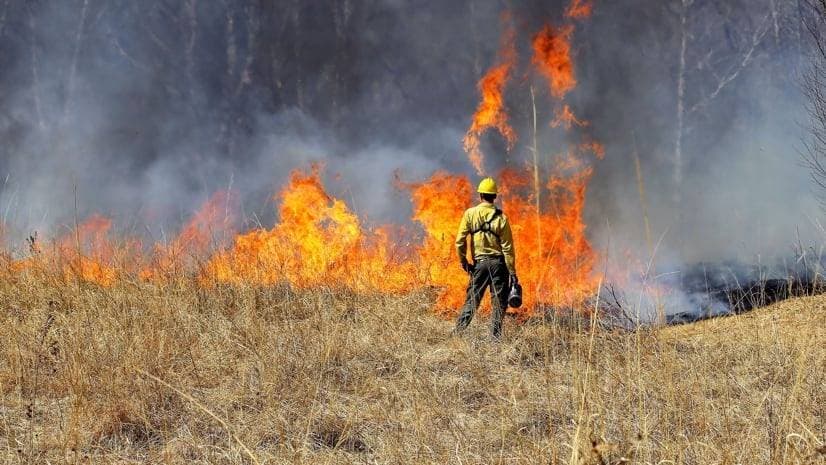 حرائق كاليفورنيا أكثر الكوارث الطبيعية تكلفة خلال 5 أعوام .. 328.5 مليار دولار