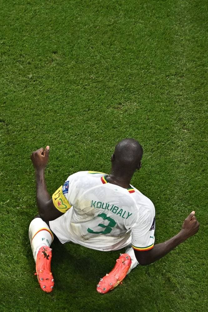 كوليبالي محتفلا بهدف السنغال. الفرنسية