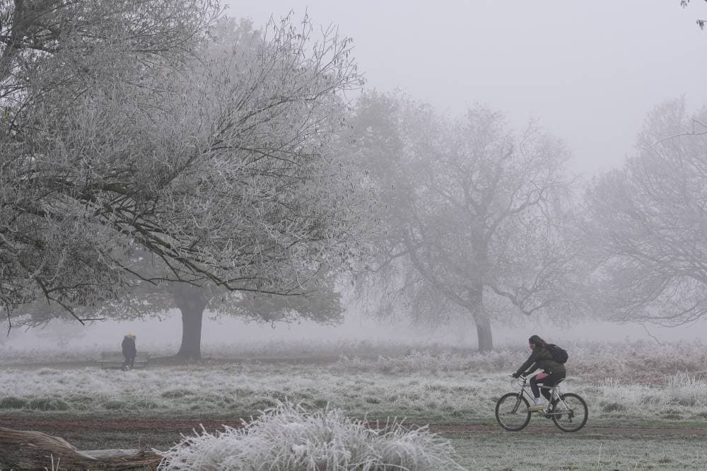 ازدحام رغم الجائحة