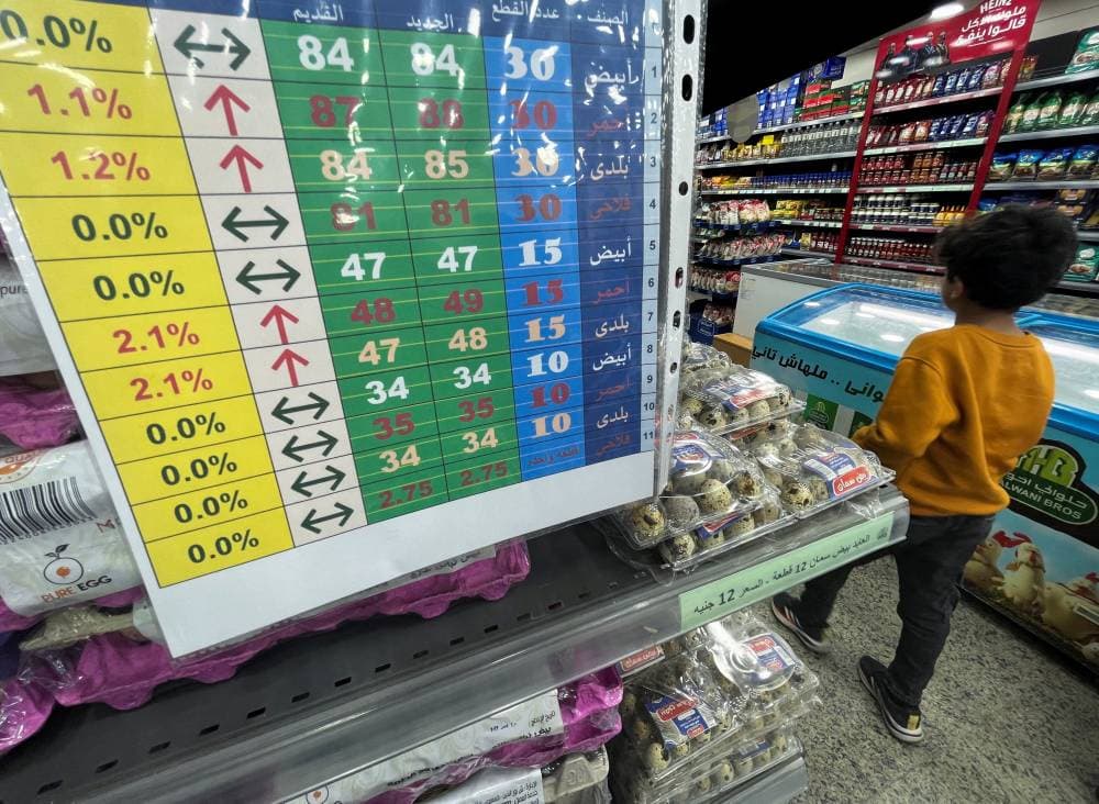 مصر تستهدف معدل نمو 5.5 % في الموازنة الجديدة رغم الضغوط التضخمية