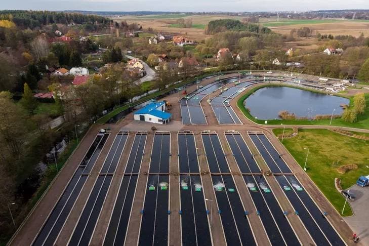 الذهب يرتفع مع تحسن الإقبال بفضل انخفاض الدولار والعوائد الأمريكية