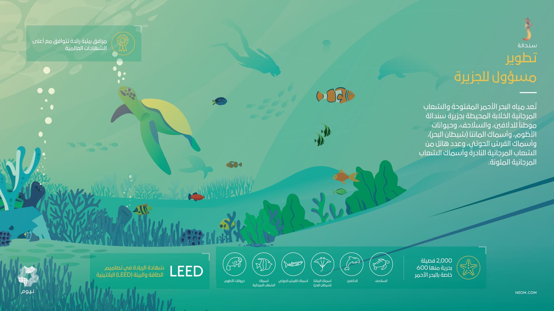 ولي العهد يعلن تطوير جزيرة «سندالة» .. أولى الوجهات البحرية الفاخرة في «نيوم»