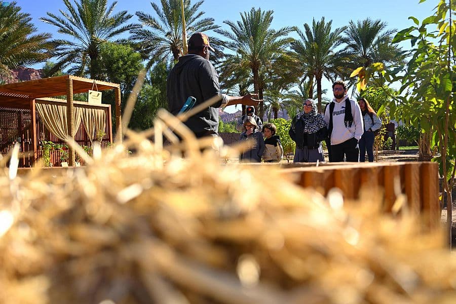 في العلا .. المزارع الصديقة للبيئة تقدم تجربة مثرية للزوار