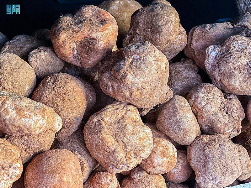 الرياض تستضيف "جولة الدراجات 2021 " تزامنا مع اليوم العالمي للدراجة الهوائية