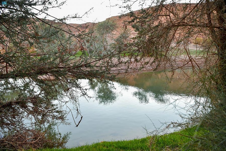 سد الراشدة في بادية تبوك .. أكبر السدود الطبيعية في المنطقة ورمز للتكافل الاجتماعي