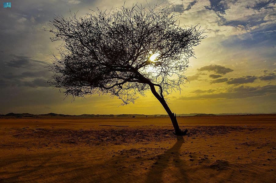 نجران .. تنوع طبيعي وتراثي يضيف للسائحين تجربة فريدة