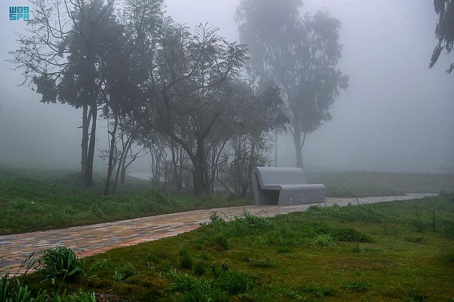 الضباب يغطي أجواء الباحة