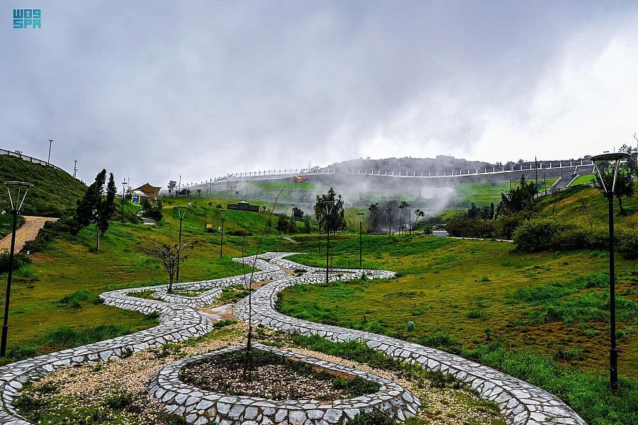 الضباب يغطي أجواء الباحة