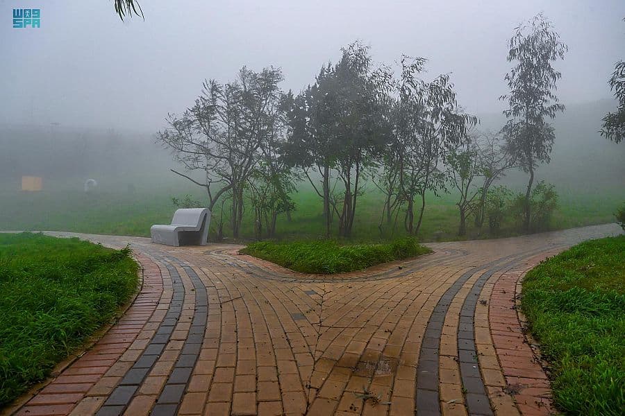 الضباب يغطي أجواء الباحة