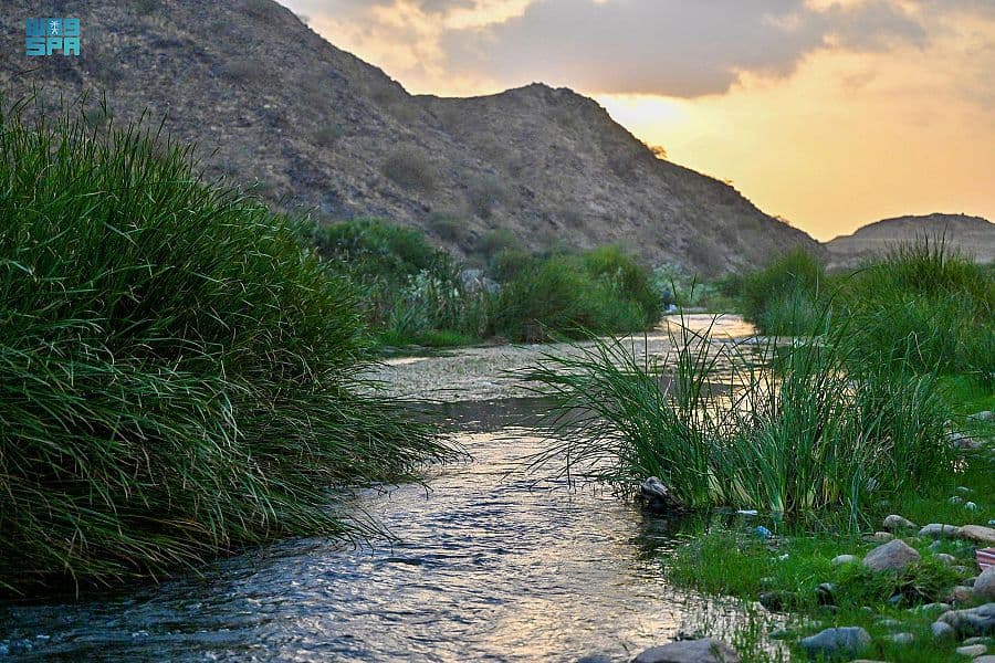 وادي الفطيحة في جازان .. بيئة خصبة وواعدة للاستثمار السياحي
