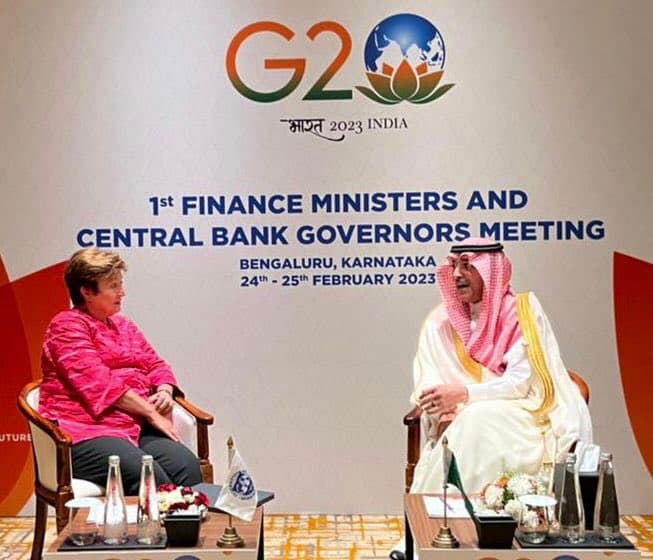 وزير المالية يلتقي مدير صندوق النقد الدولي 