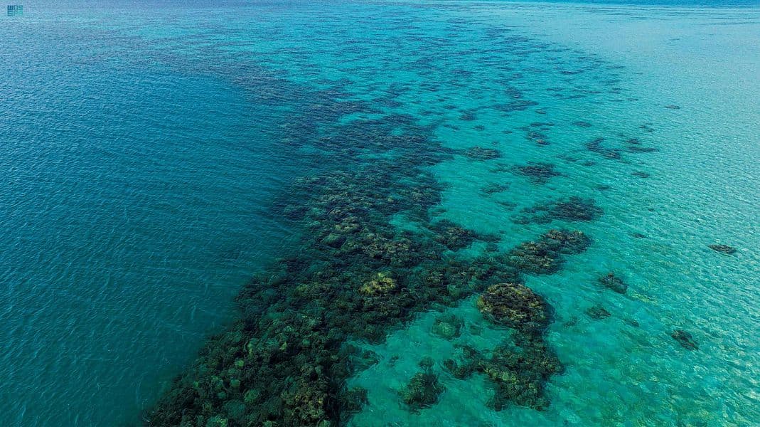 "صنق" و "جبل سيرين" في القنفذة .. وجهات سياحية لمحبي رحلات الجزر