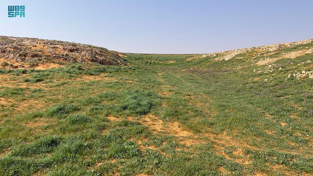 محمية الإمام تركي بن عبدالله الملكية .. طبيعة خلابة وجمال ساحر