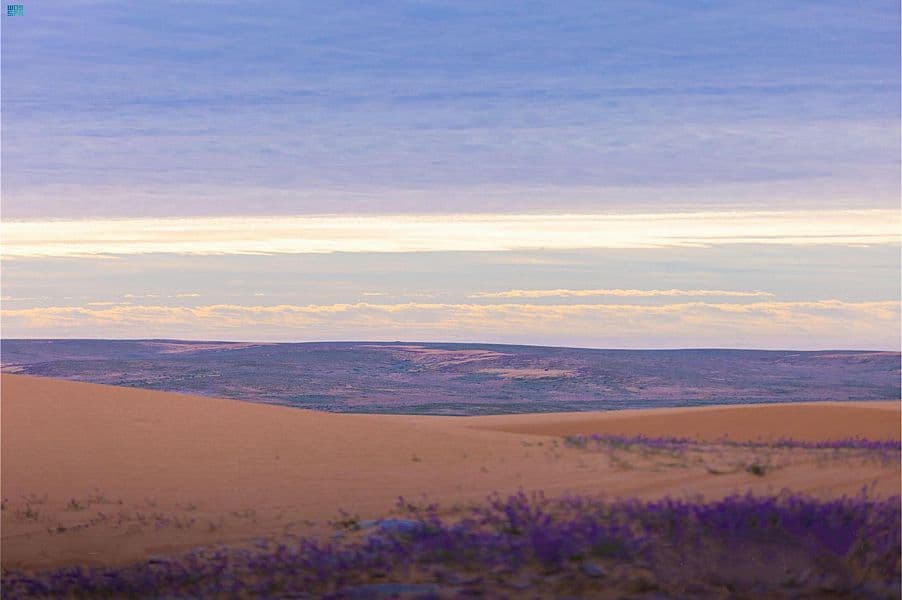 محمية الإمام تركي بن عبدالله الملكية .. طبيعة خلابة وجمال ساحر