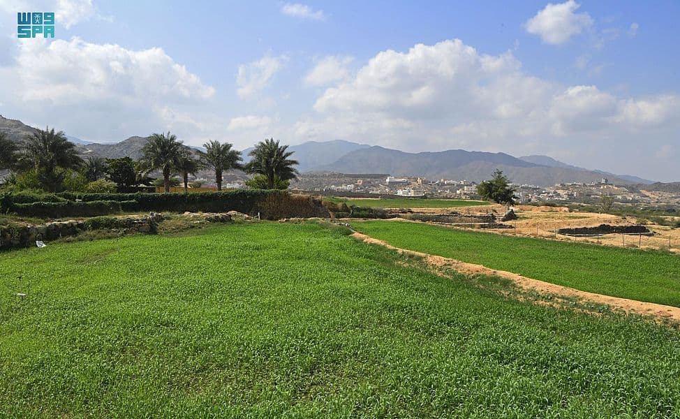 مزارعو عسير يبدؤون موسم الحراثة استعدادا لهطول الأمطار