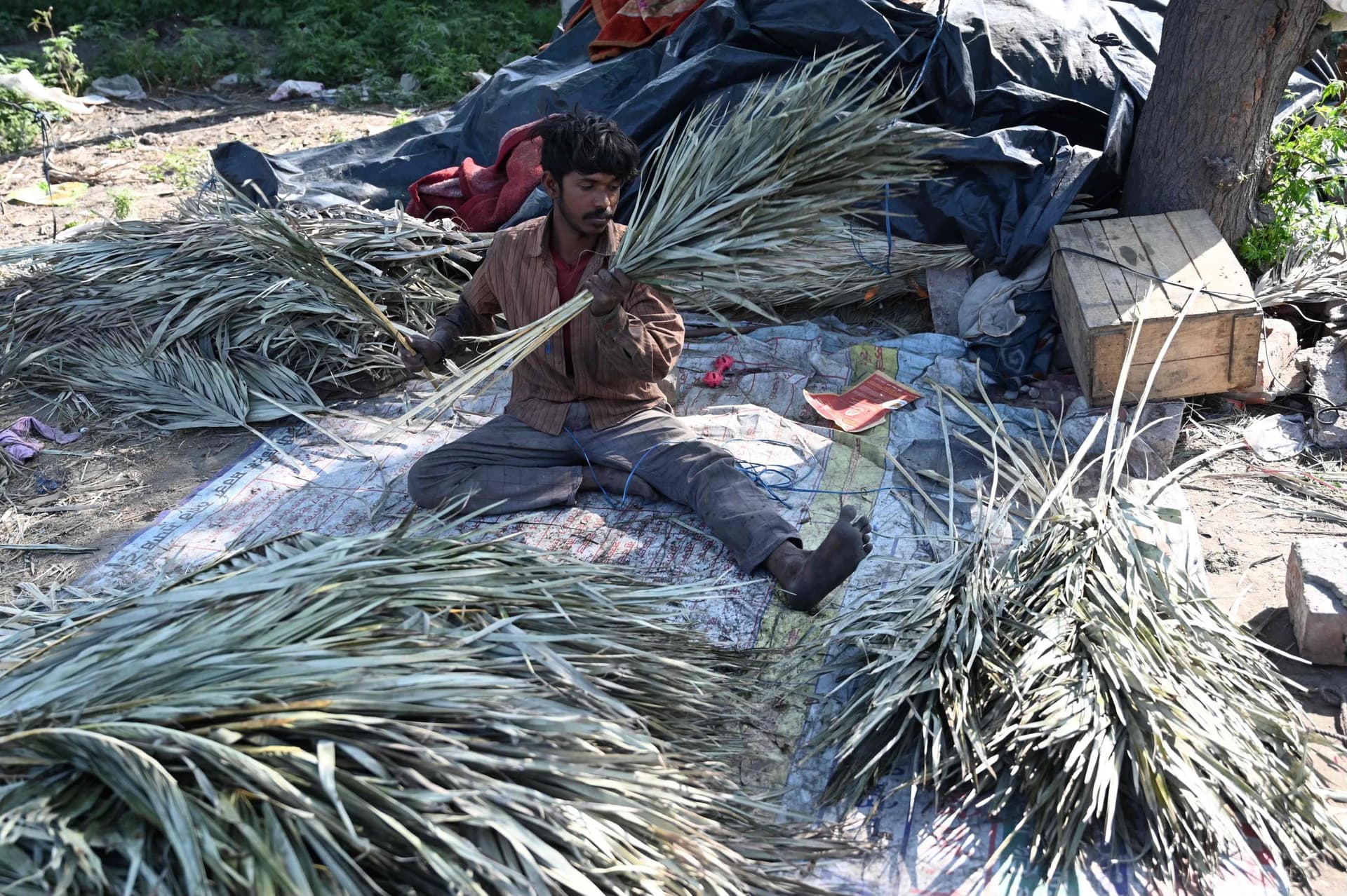 صناعة المكانس 