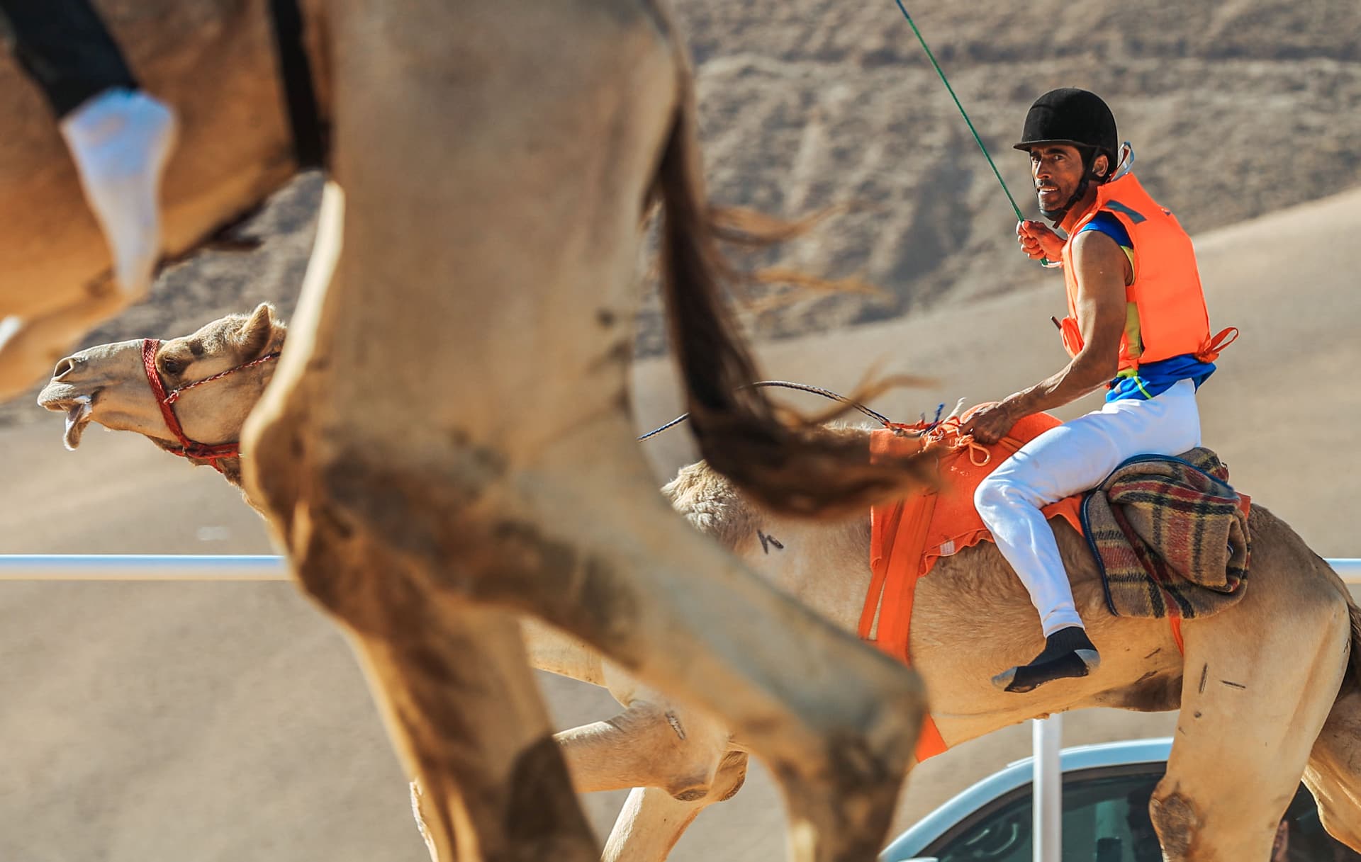 بن طحنون: السعودية الرقم الأصعب في بطولات الهجن