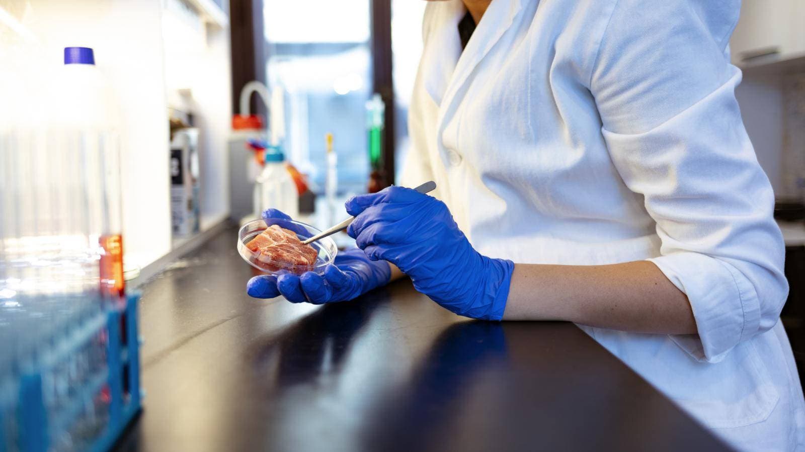 "الأطعمة الخلوية" من الممكن أن تقلص الأضرار المترتبة من تربية الماشية.