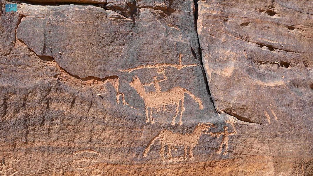 "نقوش الإبل" في العلا تخلد أهميتها التاريخية عند العرب منذ آلاف السنين