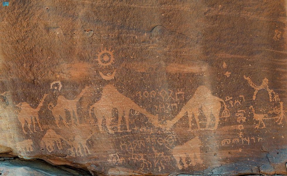 "نقوش الإبل" في العلا تخلد أهميتها التاريخية عند العرب منذ آلاف السنين