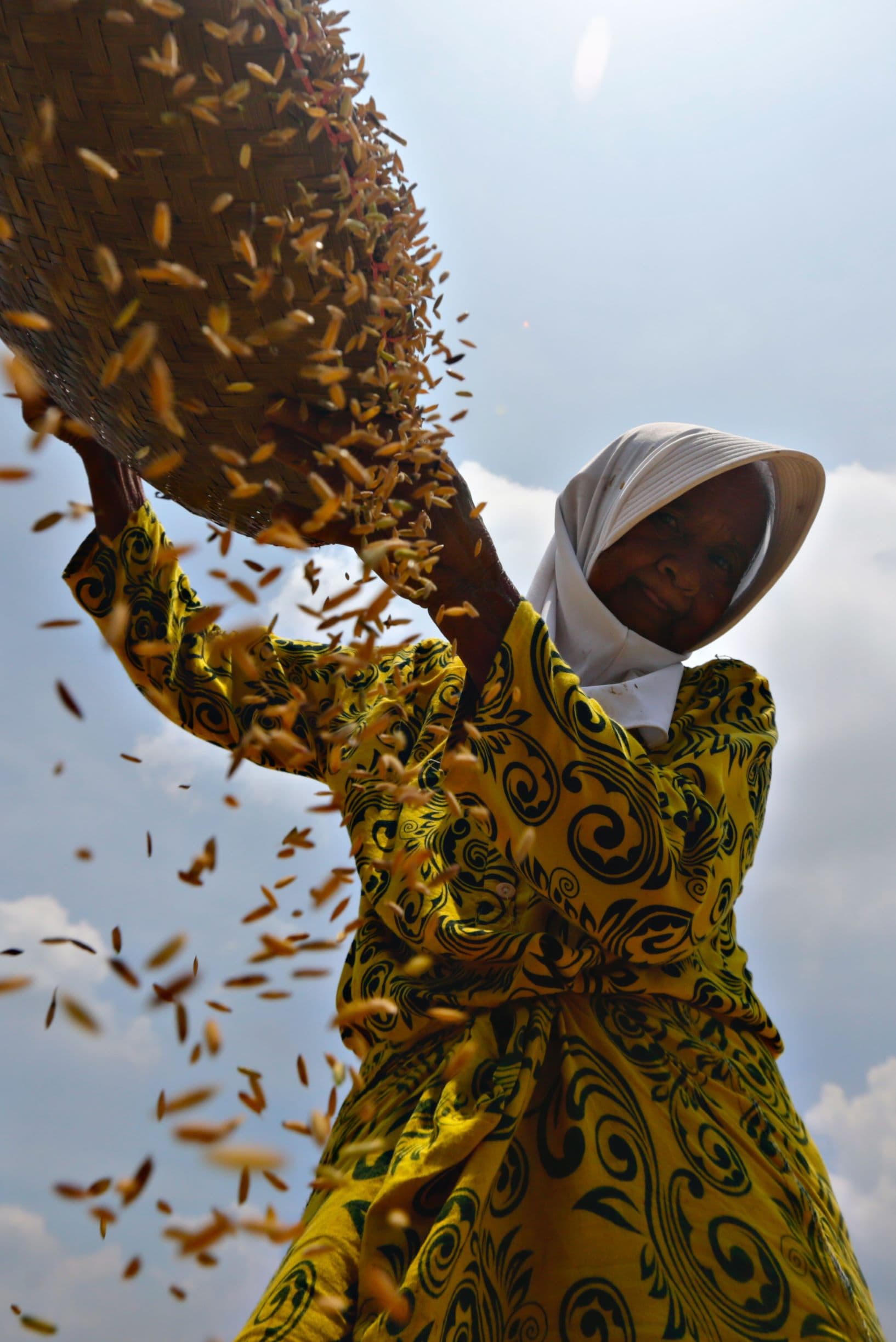 بعد استنفاد المخزون .. إندونيسيا تخطط لاستيراد 500 ألف طن أرز