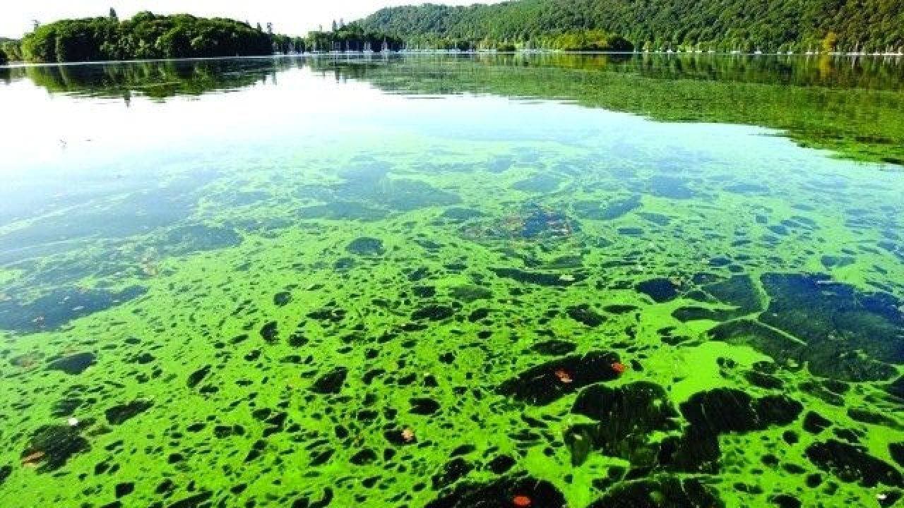 خبير اقتصادي أمريكي: مستقبل البشرية سيكون أغرب مما نعتقد 