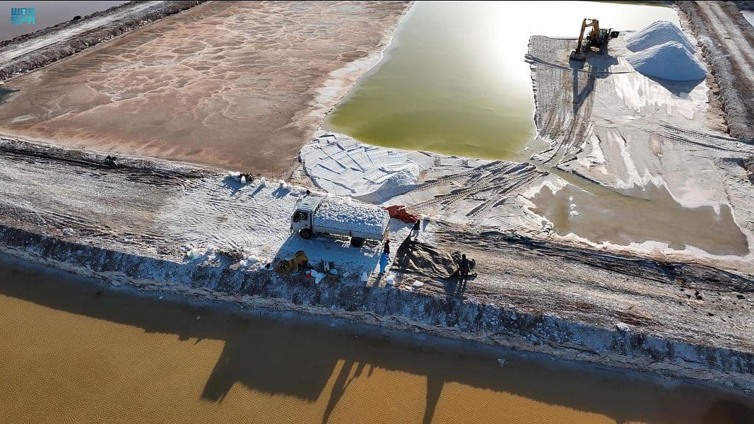 ممالح الذهب الأبيض في "القصب".. تاريخ تجاري عريق يمتد لأكثر من ثلاثة قرون