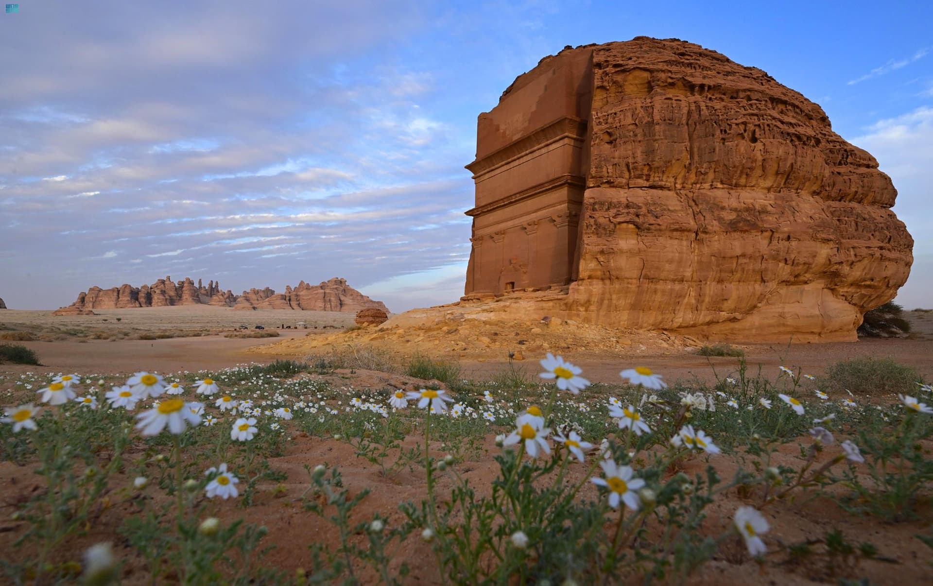 السعودية ترسخ ريادتها العالمية في مكافحة القضايا والتغيرات المناخية