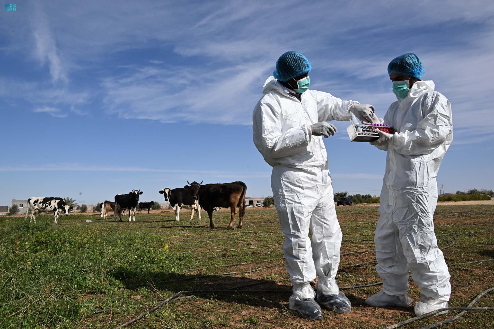 السعودية ترسخ ريادتها العالمية في مكافحة القضايا والتغيرات المناخية