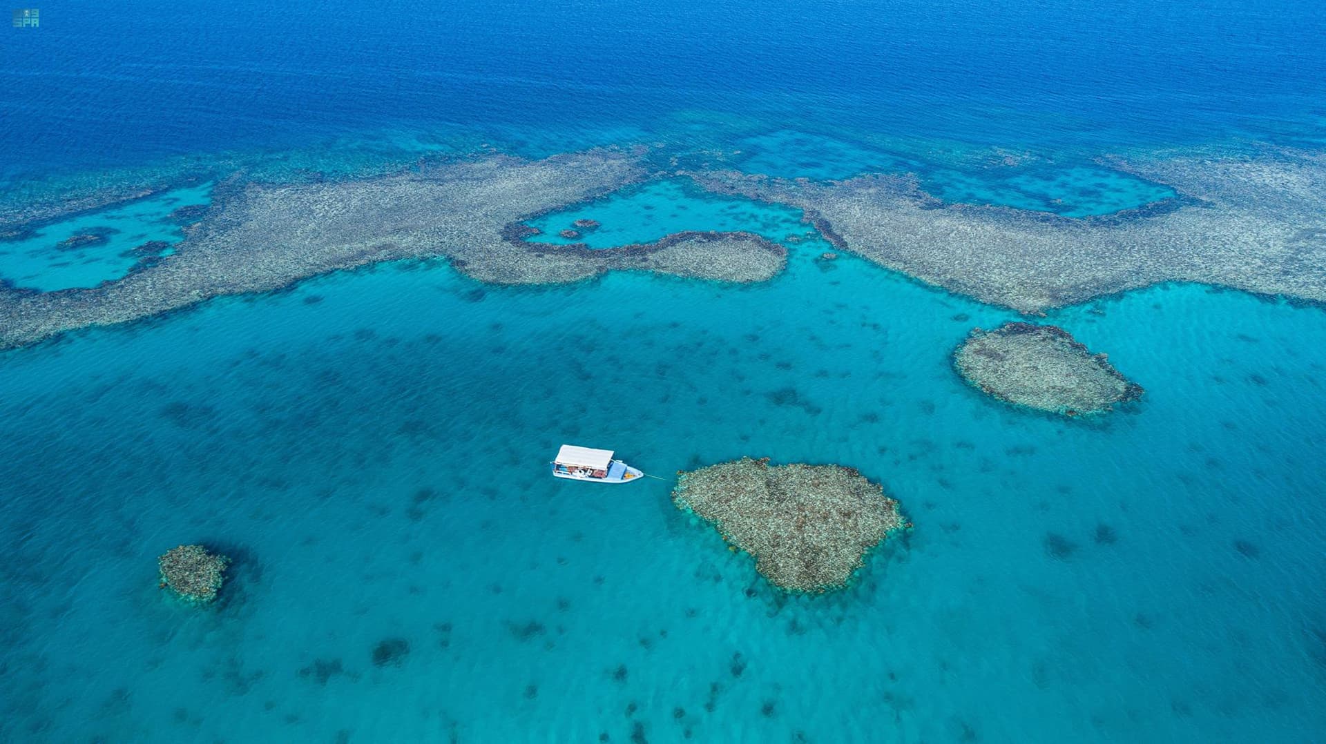 السعودية ترسخ ريادتها العالمية في مكافحة القضايا والتغيرات المناخية