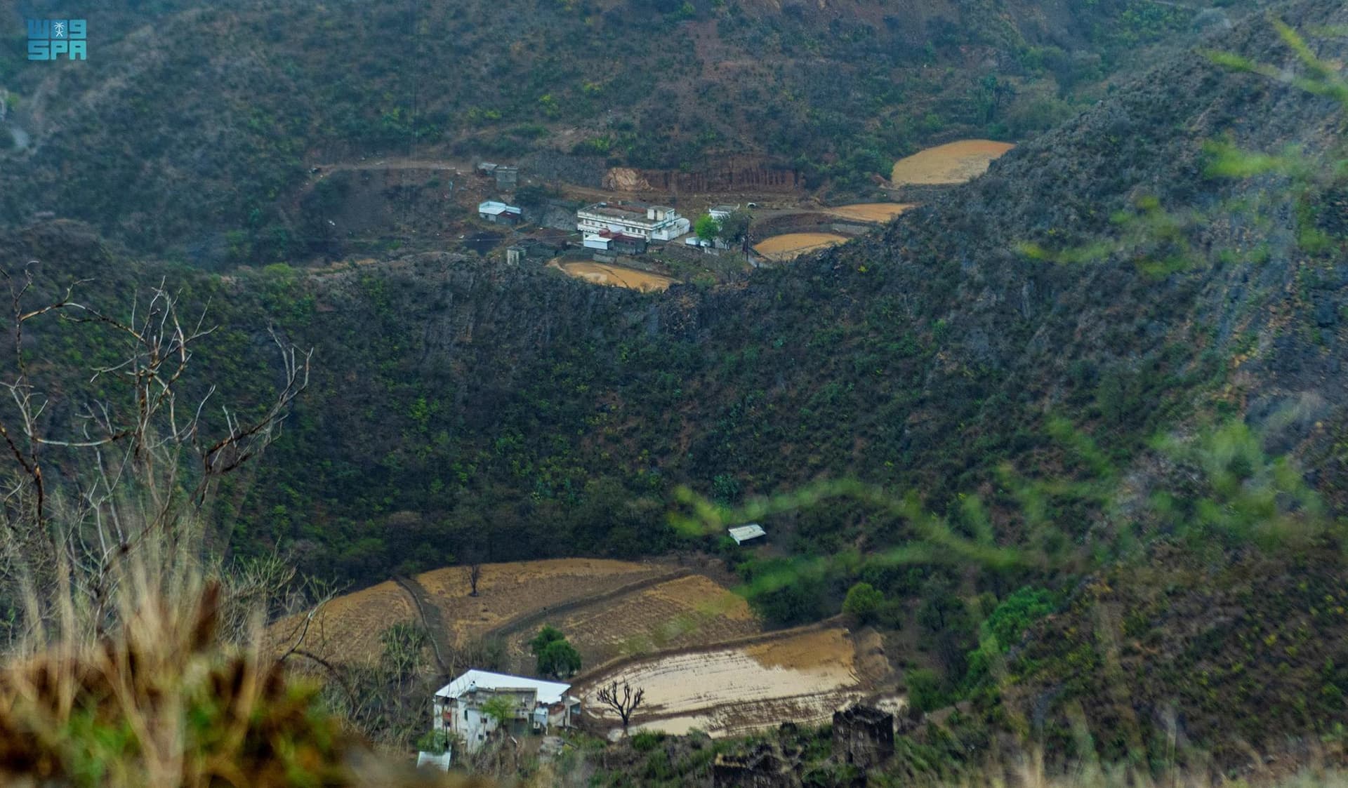 السعودية ترسخ ريادتها العالمية في مكافحة القضايا والتغيرات المناخية