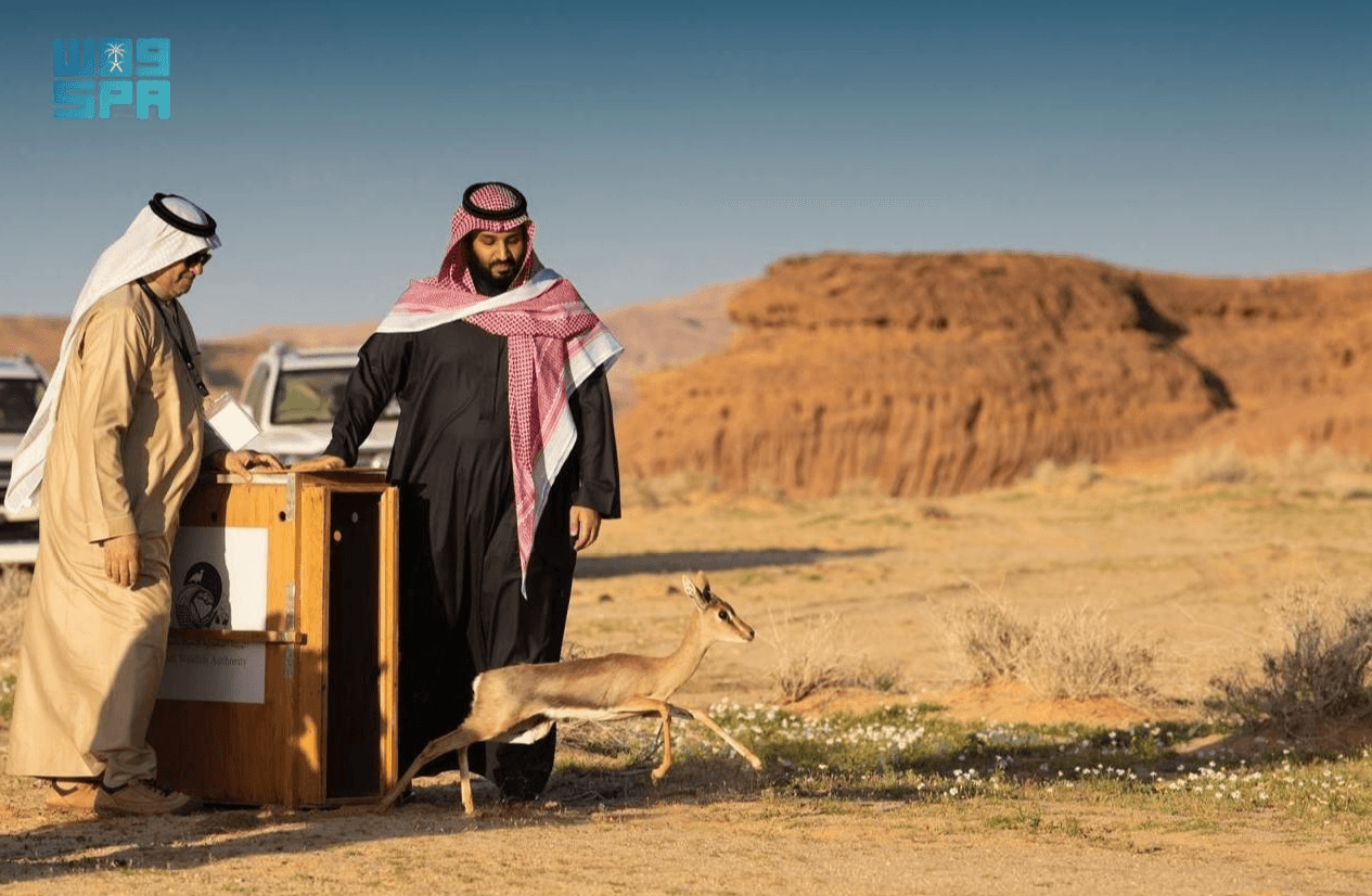 السعودية ترسخ ريادتها العالمية في مكافحة القضايا والتغيرات المناخية
