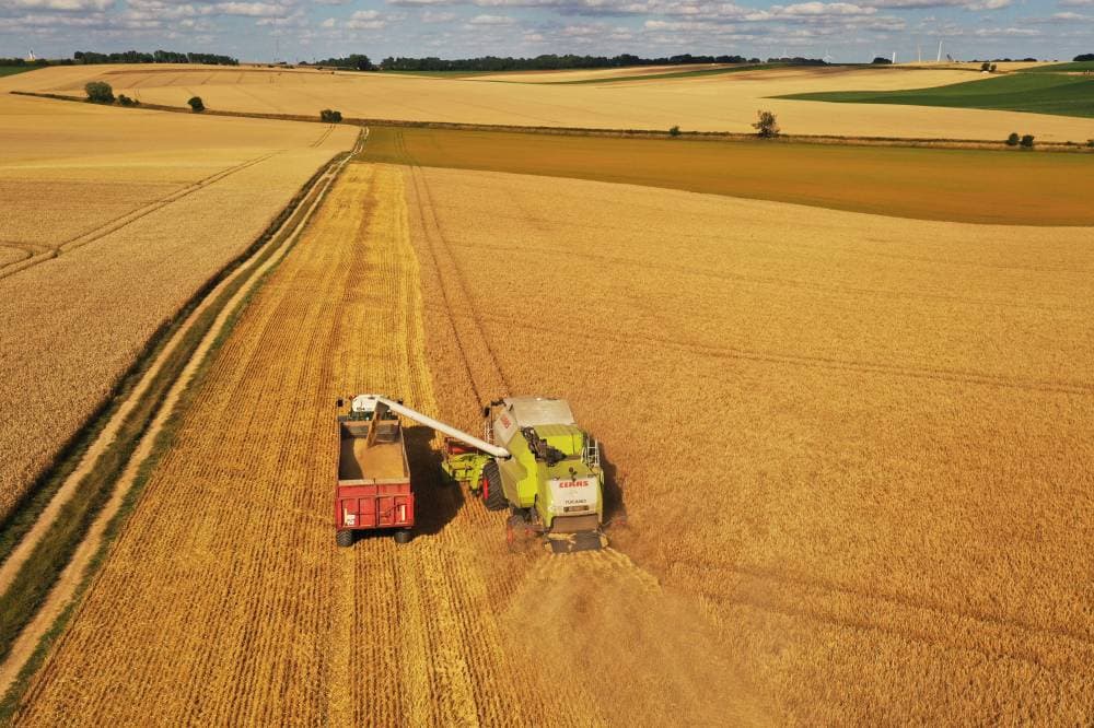 «الإسلامي للتنمية»: إقرار برنامج للاستجابة للأمن الغذائي بـ 10.5 مليار دولار