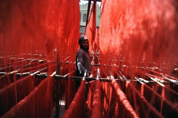 شعيرية من الزعفران الأحمر