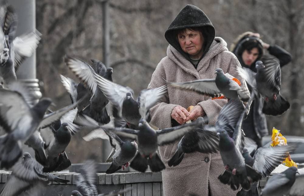 امرأة تطعم الحمام في أحد شوارع العاصمة الروسية موسكو. «إ. ب. أ»