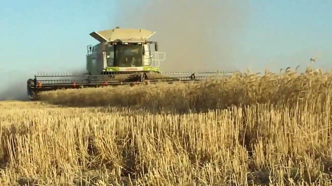 اتفاق صيني - أسترالي لتسوية نزاع رسوم الشعير